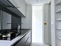 Amber Park (D15), Condominium #566730131